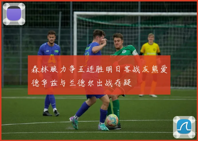 森林狼力争五连胜明日客战灰熊爱德华兹与兰德尔出战存疑