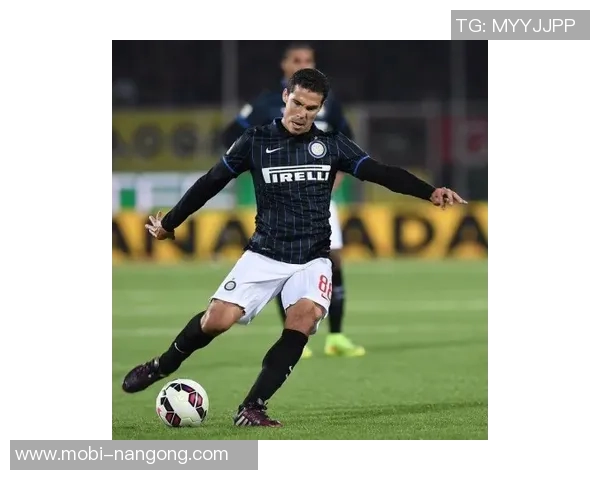 埃尔纳内斯:国米展现意大利足球之巅的实力与风采 埃尔纳内斯:国米展现意大利足球之巅的实力与风采